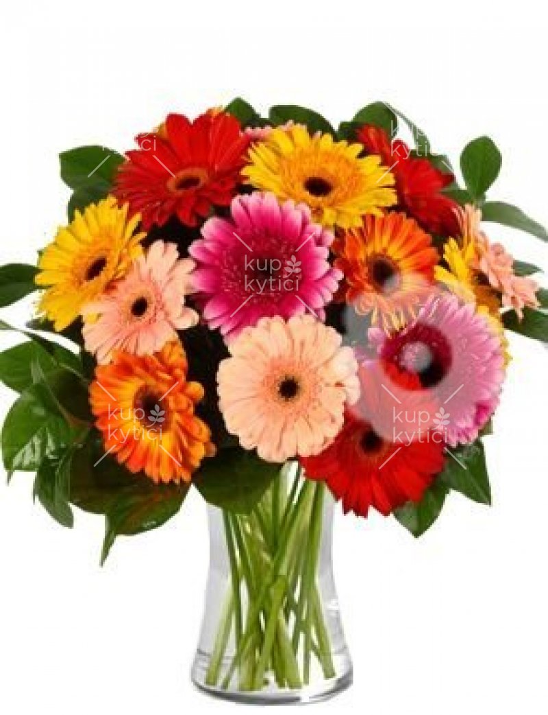 Bouquet of multi-colored gerberas with green Elois
